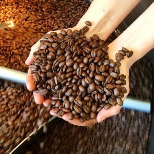 freshly roasted coffee beans held in Nancy's hands